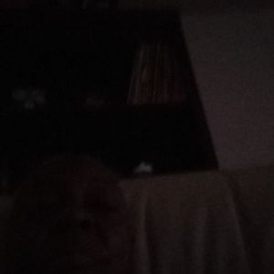 Meet your Posher, Patsy